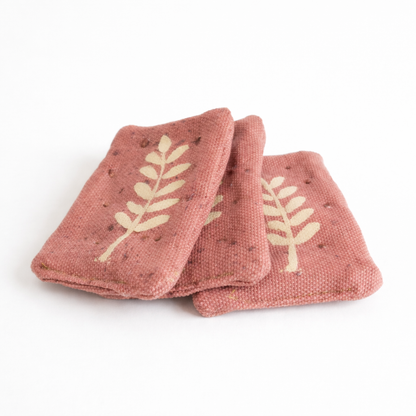 Whole wheat crackers - 3 Pack